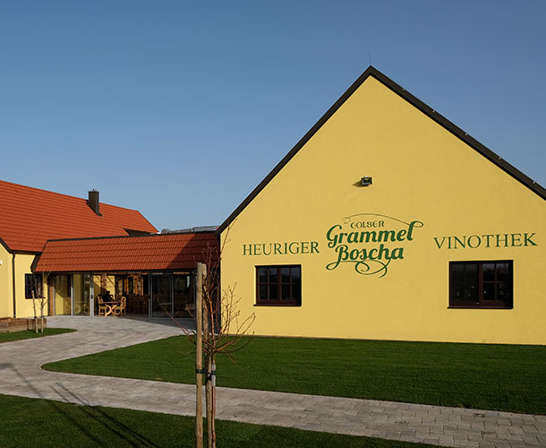 Golser Grammel Boscha