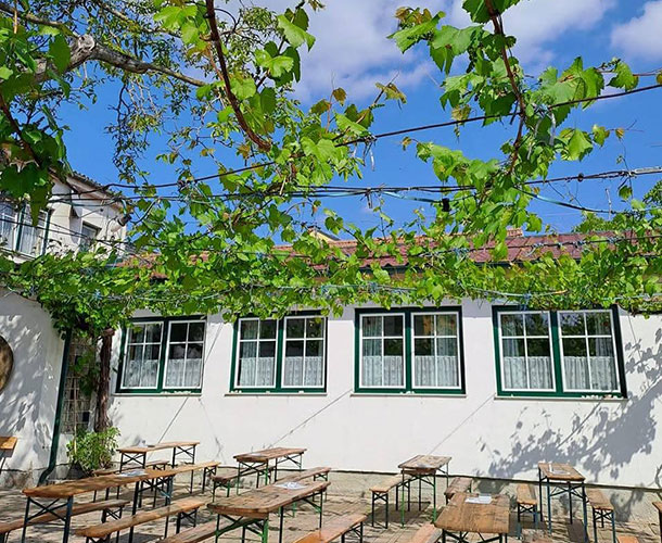 Weinhof & Heuriger Gössinger