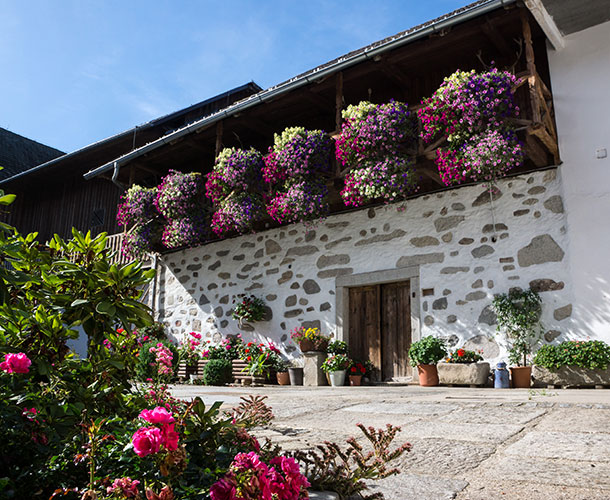 Landgasthaus Pammer